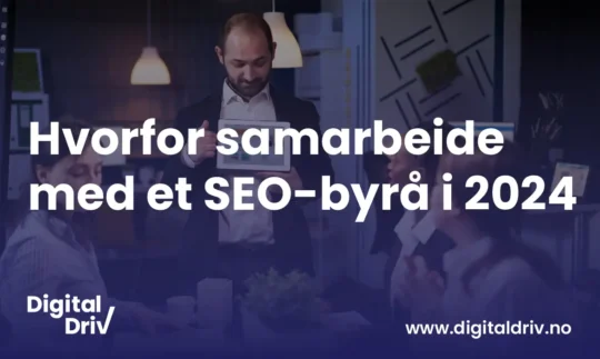 Hvorfor samarbeide med et SEO-byrå i 2024?