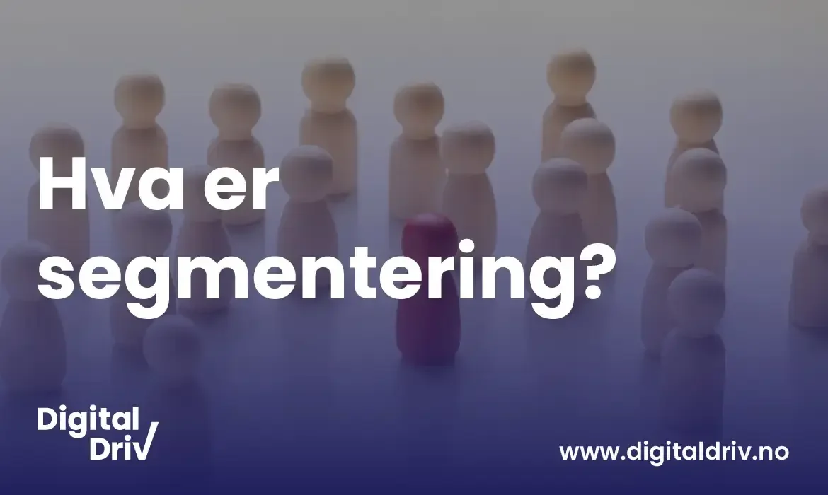 hva-er-segmentering