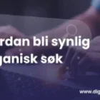 Hvordan bli synlig i organisk søk