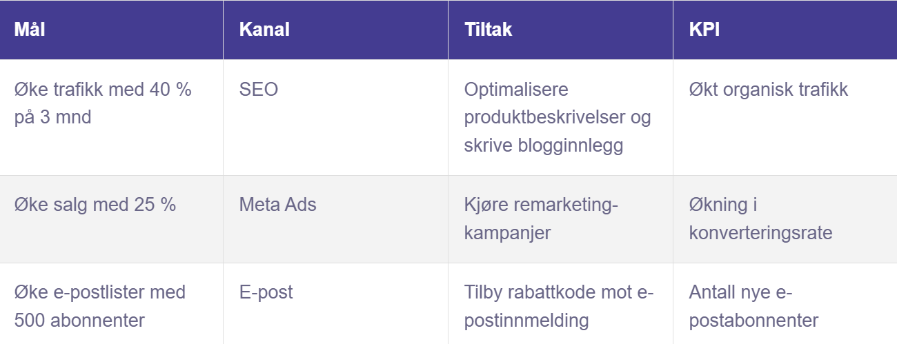 Digital Markedsplan Eksempel