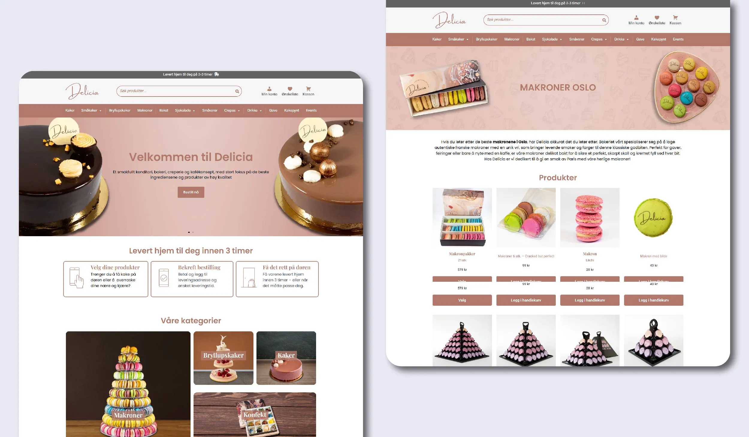 4-web-development-portfolio-img-dd-03 (2)