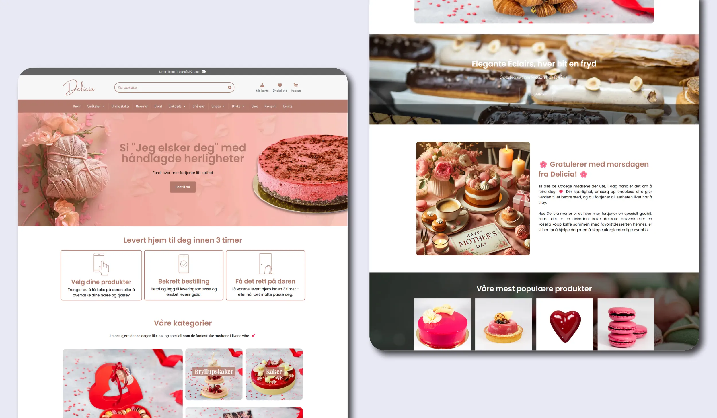 4-web-development-portfolio-img-dd-11