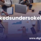 Kostnaden for markedsundersøkelser innen digital markedsføring?