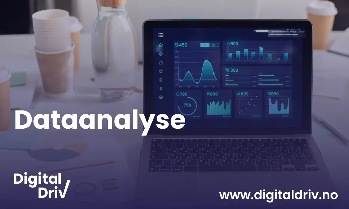 dataanalyse