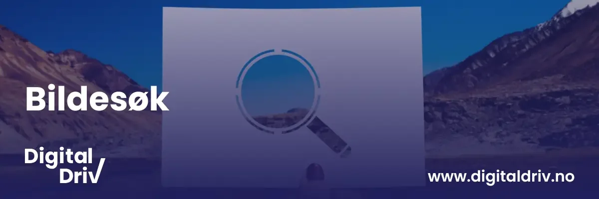 Bildesøk